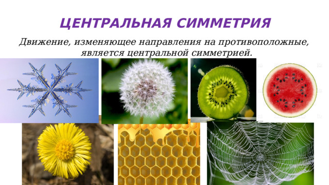 ЦЕНТРАЛЬНАЯ СИММЕТРИЯ Движение, изменяющее направления на противоположные, является центральной симметрией.   