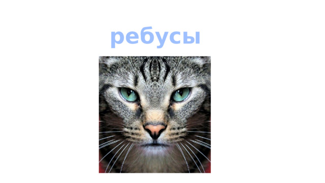 ребусы 