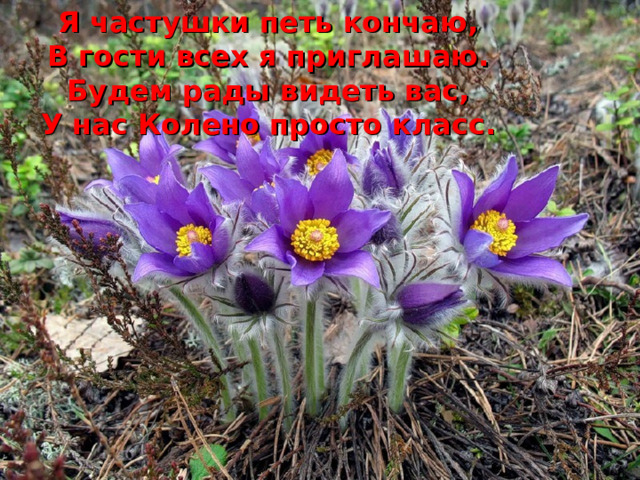 Я частушки петь кончаю, В гости всех я приглашаю. Будем рады видеть вас, У нас Колено просто класс. 