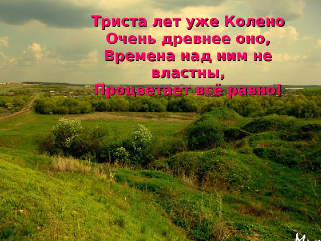 Триста лет уже Колено Очень древнее оно, Времена над ним не властны, Процветает всё равно! 
