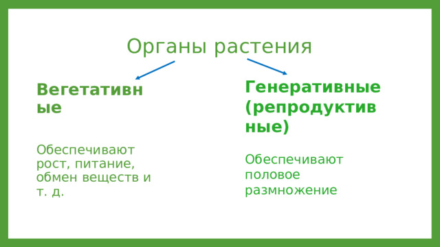 Органы растения Генеративные (репродуктивные) Обеспечивают половое размножение Вегетативные Обеспечивают рост, питание, обмен веществ и т. д. 