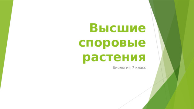 Высшие споровые растения Биология 7 класс 