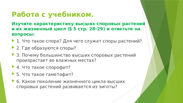 Работа с учебником. Изучите характеристику высших споровых растений и их жизненный цикл (§ 5 стр. 28-29) и ответьте на вопросы: 1. Что такое спора? Для чего служат споры растений? 2. Где образуются споры? 3. Почему большинство высших споровых растений произрастает во влажных местах? 4. Что такое спорофит? 5. Что такое гаметофит? 6. Какое поколение жизненного цикла высших споровых растений развивается из зиготы? 