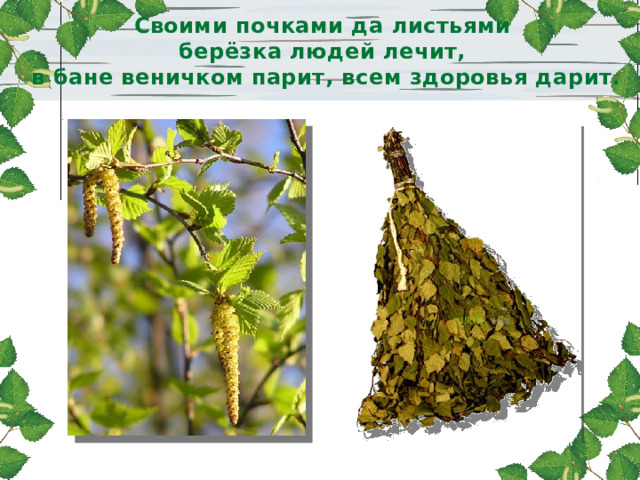 Своими почками да листьями  берёзка людей лечит,  в бане веничком парит, всем здоровья дарит. 