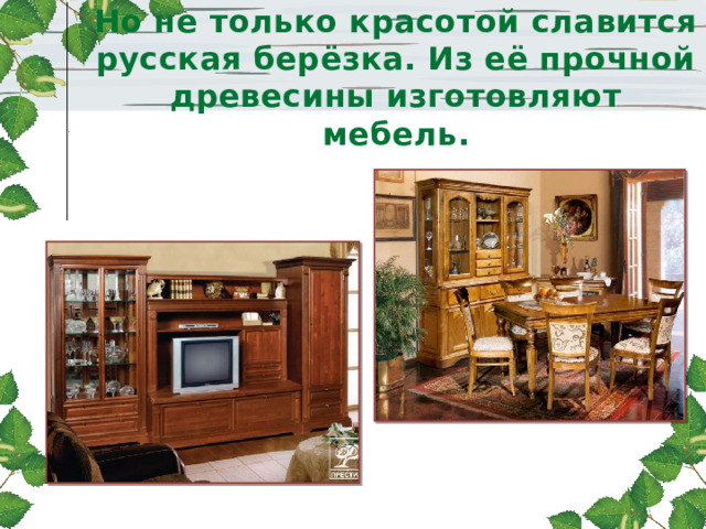 Но не только красотой славится русская берёзка. Из её прочной древесины изготовляют мебель. 