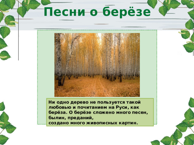 Песни о берёзе   Ни одно дерево не пользуется такой любовью и почитанием на Руси, как берёза. О берёзе сложено много песен, былин, преданий, создано много живописных картин. 