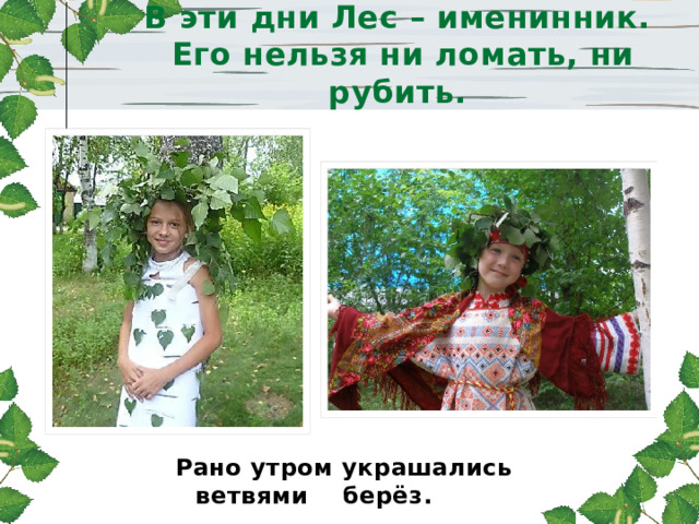 В эти дни Лес – именинник.  Его нельзя ни ломать, ни рубить.  Рано утром украшались ветвями берёз. 
