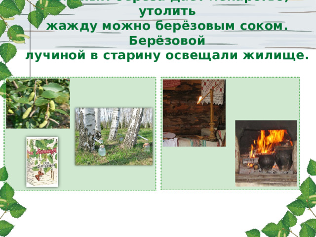 Больным берёза даёт лекарство, утолить  жажду можно берёзовым соком. Берёзовой  лучиной в старину освещали жилище. 