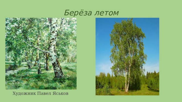 Берёза летом   Художник Павел Яськов 