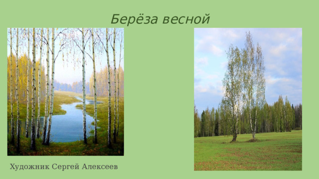 Берёза весной Художник Сергей Алексеев 