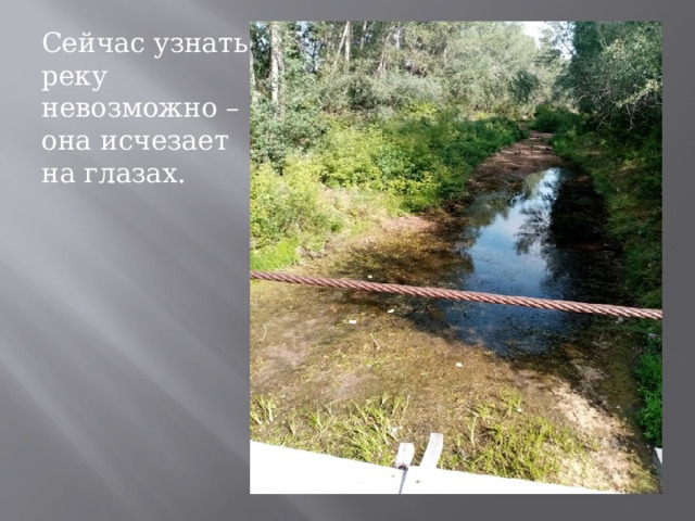 Сейчас узнать реку невозможно – она исчезает на глазах. 