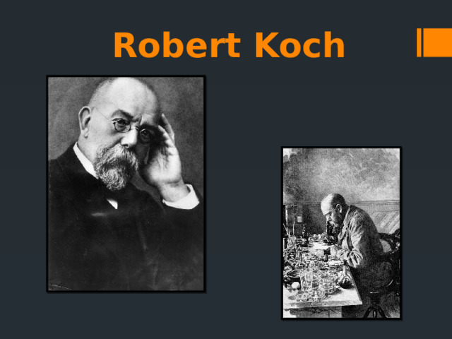 Robert Koch 