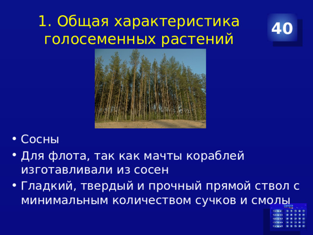 1. Общая характеристика голосеменных растений 40 Сосны Для флота, так как мачты кораблей изготавливали из сосен Гладкий, твердый и прочный прямой ствол с минимальным количеством сучков и смолы 