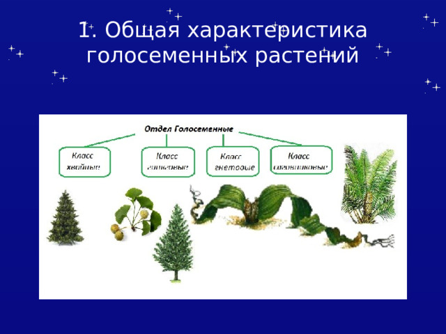 1. Общая характеристика голосеменных растений 