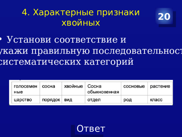 4. Характерные признаки хвойных 20 Установи соответствие и укажи правильную последовательность систематических категорий 