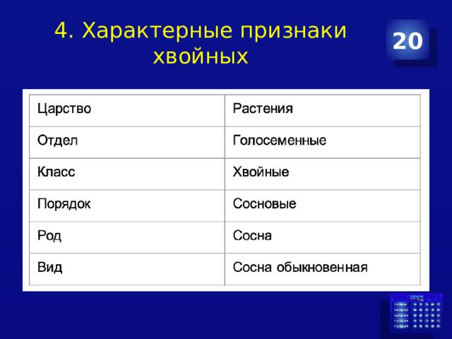 4. Характерные признаки хвойных 20 
