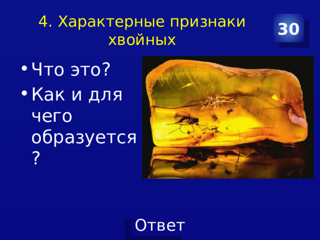 4. Характерные признаки хвойных 30 Что это? Как и для чего образуется? 