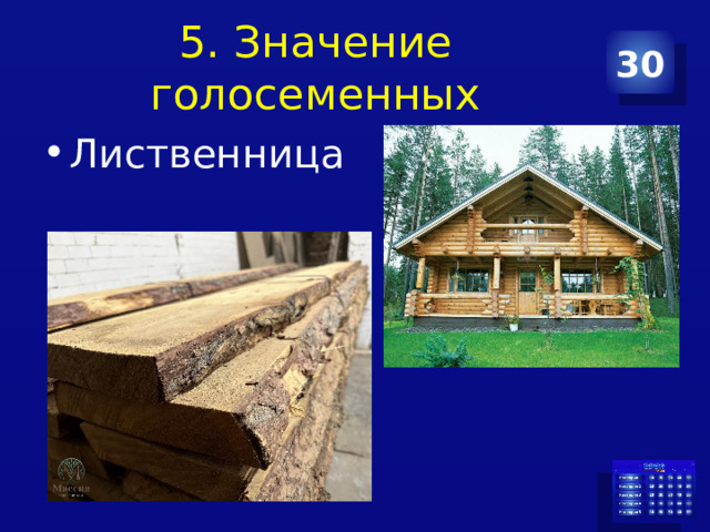 5. Значение голосеменных 30 Лиственница 