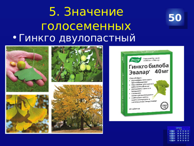 5. Значение голосеменных 50 Гинкго двулопастный 
