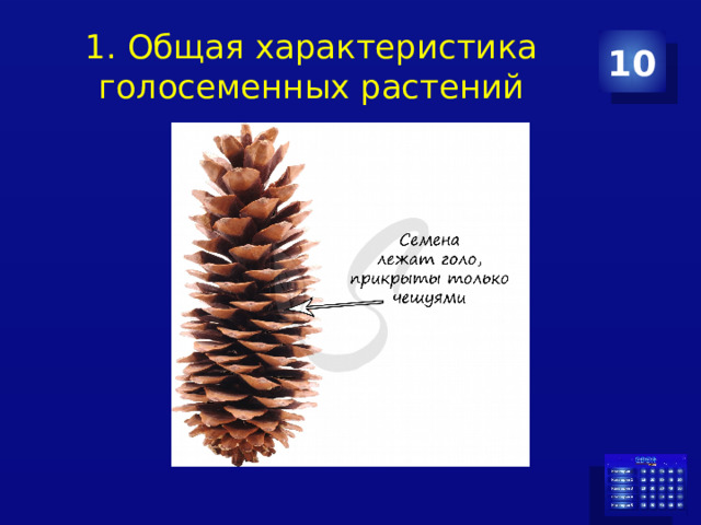 1. Общая характеристика голосеменных растений 10 