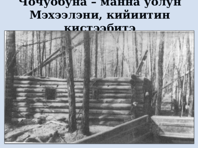 Чочуобуна – манна уолун Мэхээлэни, кийиитин кистээбитэ   