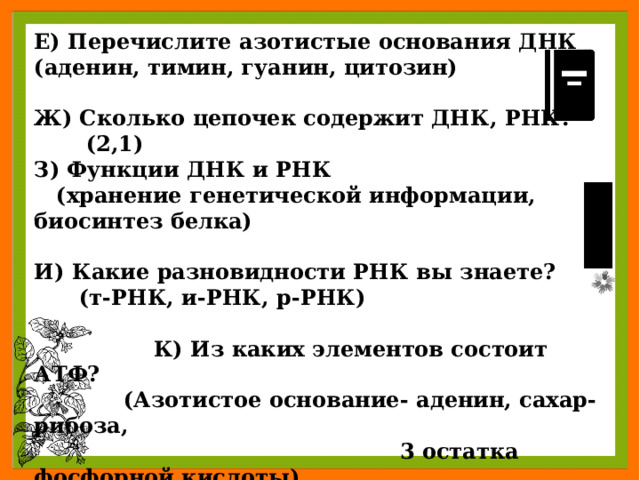 Е) Перечислите азотистые основания ДНК (аденин, тимин, гуанин, цитозин)  Ж) Сколько цепочек содержит ДНК, РНК?  (2,1) З) Функции ДНК и РНК  (хранение генетической информации, биосинтез белка)  И) Какие разновидности РНК вы знаете?  (т-РНК, и-РНК, р-РНК)   К) Из каких элементов состоит АТФ?  (Азотистое основание- аденин, сахар- рибоза,  3 остатка фосфорной кислоты)   