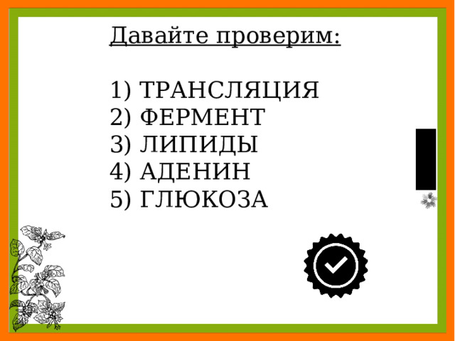 Давайте проверим:  ТРАНСЛЯЦИЯ  ФЕРМЕНТ  ЛИПИДЫ  АДЕНИН  ГЛЮКОЗА 