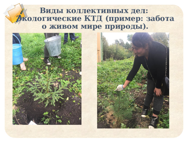 Виды коллективных дел:  Экологические КТД (пример: забота о живом мире природы).    