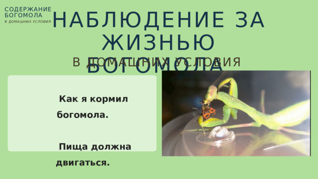 �������� ���������� �������: ����.
