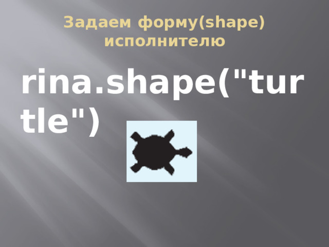 Задаем форму(shape) исполнителю rina.shape(