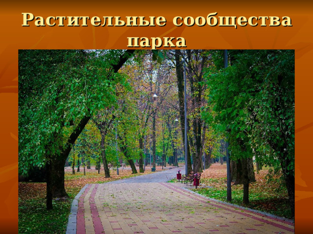 Растительные сообщества парка 