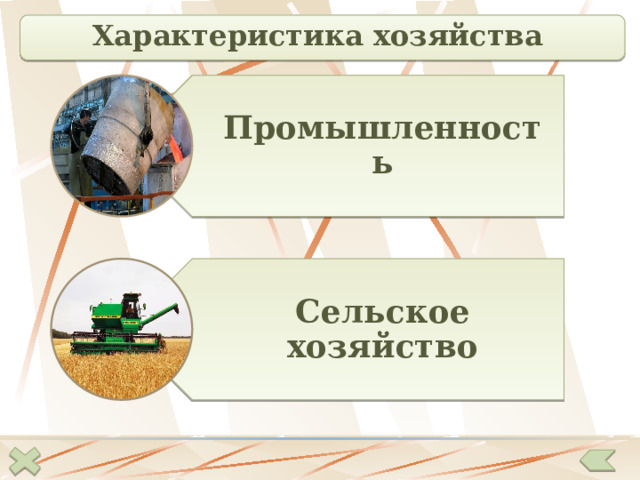 Характеристика хозяйства Промышленность Сельское хозяйство 14 