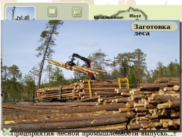 Ивдель Красновишерск Заготовка леса Лесная промышленность Гайны Серов Соликамск Сосьва Тавда Краснокамск Новая Ляля По уровню обеспеченности лесными ресурсами район уступает в европейской части страны только Северному району. Всего здесь сосредоточено 5,7% лесных ресурсов страны. На предприятиях этого комплекса производится около 11% деловой древесины, 15% пиломатериалов, 17% бумаги в России. Предприятия лесной промышленности выпускают продукцию, в основном, для внутреннего потребления и расположены в промышленных центрах Пермского края и Свердловской области. Отрасли Промышленности  - деревообрабатыва-  ющая  - лесопильная  - мебельная  - другие  отрасли  - целлюлозно-  бумажная  - лесохимическая  - лесозаготови-  тельная Туринск Глазов Пермь Воткинск Екатеринбург Уфа Аша Челябинск Оренбург Краснокамский ЦБК 