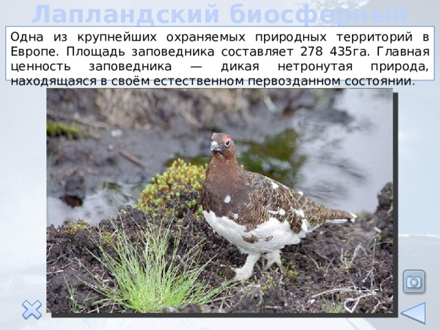 Лапландский биосферный заповедник Одна из крупнейших охраняемых природных территорий в Европе. Площадь заповедника составляет 278 435га. Главная ценность заповедника — дикая нетронутая природа, находящаяся в своём естественном первозданном состоянии . 