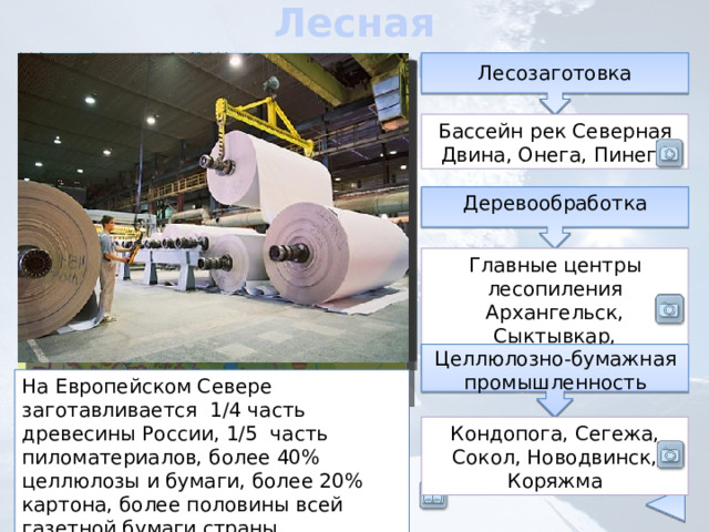 Лесная промышленность Лесозаготовка Бассейн рек Северная Двина, Онега, Пинега Деревообработка Главные центры лесопиления Архангельск, Сыктывкар, Котлас Целлюлозно-бумажная промышленность На Европейском Севере заготавливается 1/4 часть древесины России, 1/5 часть пиломатериалов, более 40% целлюлозы и бумаги, более 20% картона, более половины всей газетной бумаги страны. Кондопога, Сегежа, Сокол, Новодвинск, Коряжма 