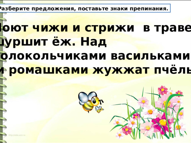 Разберите предложения, поставьте знаки препинания. Поют чижи и стрижи в траве шуршит ёж. Над колокольчиками васильками  и ромашками жужжат пчёлы. 