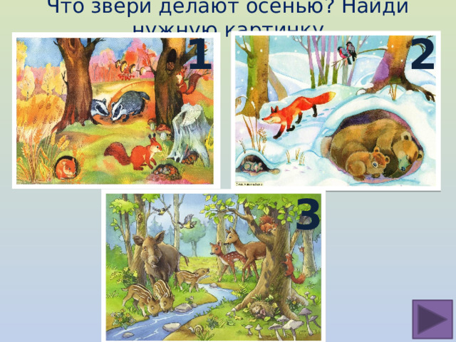 Что звери делают осенью? Найди нужную картинку 1 2 1 3 