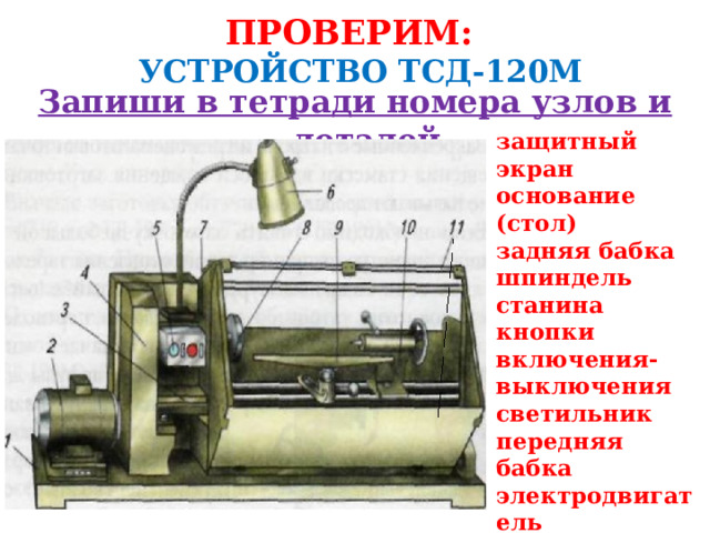ПРОВЕРИМ:   УСТРОЙСТВО ТСД-120М Запиши в тетради номера узлов и деталей. защитный экран основание (стол) задняя бабка шпиндель станина кнопки включения-выключения светильник передняя бабка электродвигатель подручник кожух ременной передачи  