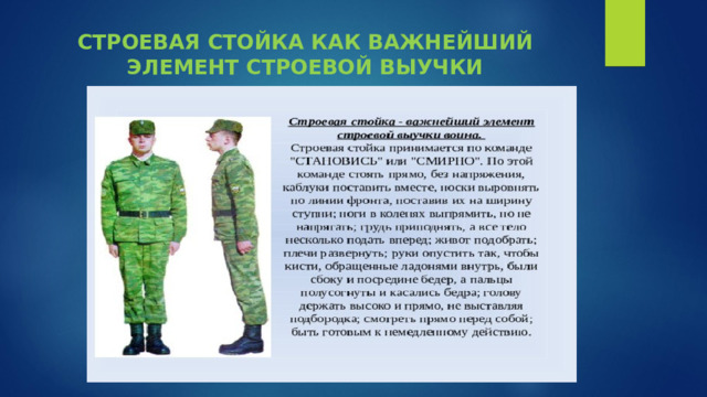 СТРОЕВАЯ СТОЙКА КАК ВАЖНЕЙШИЙ ЭЛЕМЕНТ СТРОЕВОЙ ВЫУЧКИ 