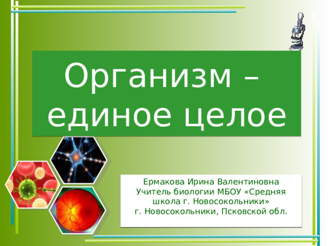 Организм –  единое целое Ермакова Ирина Валентиновна Учитель биологии МБОУ «Средняя школа г. Новосокольники» г. Новосокольники, Псковской обл. 