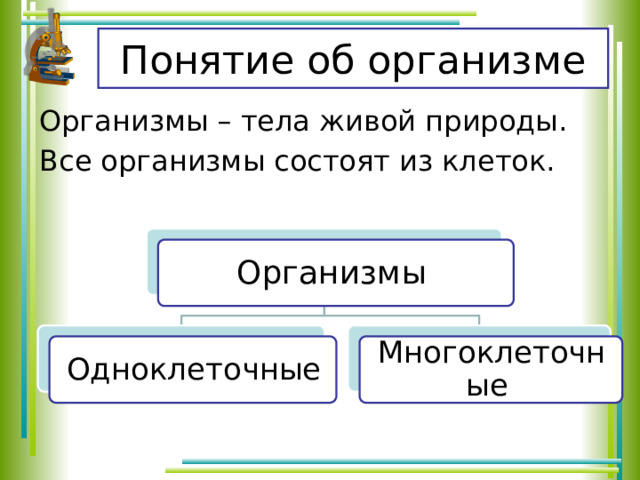 Понятие об организме Организмы – тела живой природы. Все организмы состоят из клеток. Организмы Одноклеточные Многоклеточные 