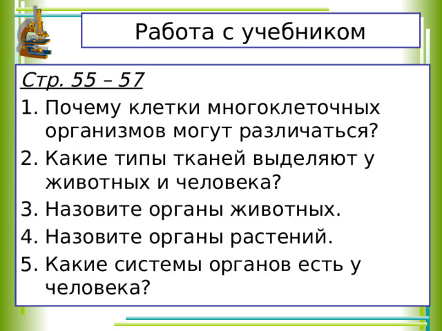 Работа с учебником Стр. 55 – 57 Почему клетки многоклеточных организмов могут различаться? Какие типы тканей выделяют у животных и человека? Назовите органы животных. Назовите органы растений. Какие системы органов есть у человека? 