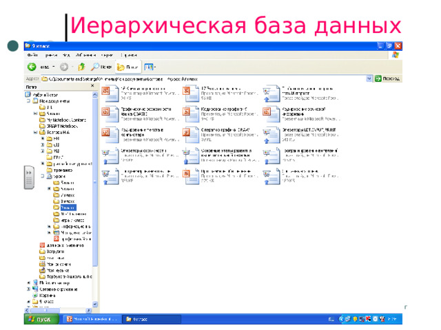 Иерархическая база данных 2023 г © Bolgova N.A.  