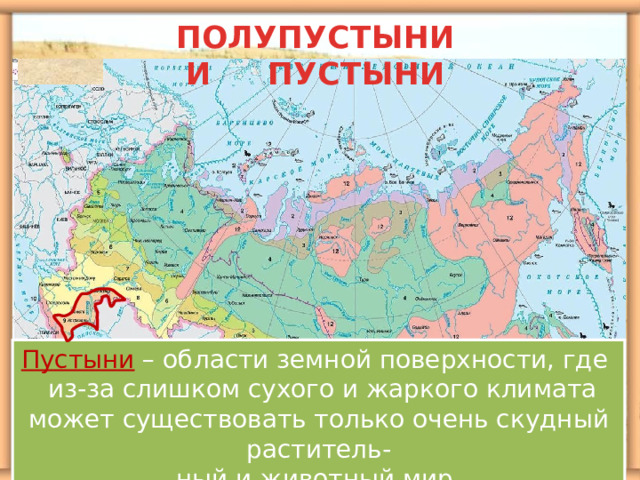 ПОЛУПУСТЫНИ  И ПУСТЫНИ Пустыни – области земной поверхности, где из-за слишком сухого и жаркого климата может существовать только очень скудный раститель- ный и животный мир. 