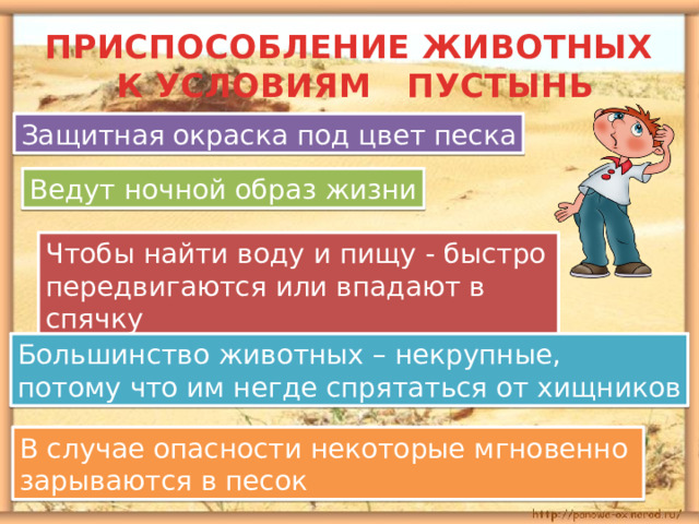 ПРИСПОСОБЛЕНИЕ ЖИВОТНЫХ  К УСЛОВИЯМ ПУСТЫНЬ Защитная окраска под цвет песка Ведут ночной образ жизни Чтобы найти воду и пищу - быстро передвигаются или впадают в спячку Большинство животных – некрупные, потому что им негде спрятаться от хищников В случае опасности некоторые мгновенно зарываются в песок 