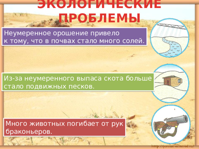 ЭКОЛОГИЧЕСКИЕ ПРОБЛЕМЫ Неумеренное орошение привело к тому, что в почвах стало много солей. Из-за неумеренного выпаса скота больше стало подвижных песков. Много животных погибает от рук браконьеров. 