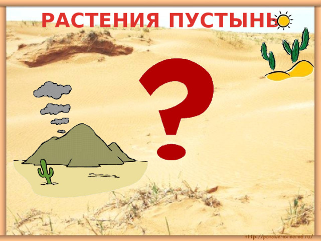 РАСТЕНИЯ ПУСТЫНЬ 