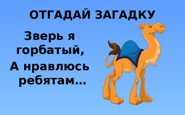 ОТГАДАЙ ЗАГАДКУ Зверь я горбатый, А нравлюсь ребятам…  
