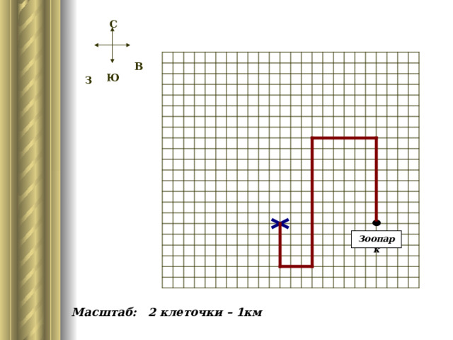  С  З  В  Ю Зоопарк Масштаб: 2 клеточки – 1км  