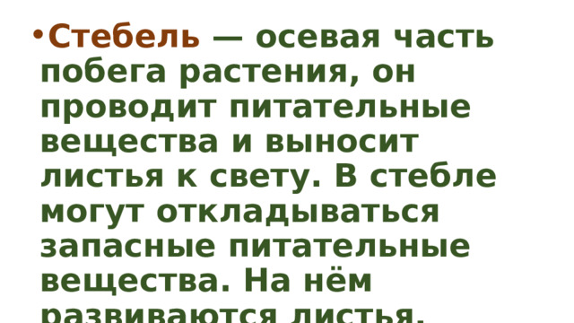 Стебель — осевая часть побега растения, он проводит питательные вещества и выносит листья к свету. В стебле могут откладываться запасные питательные вещества. На нём развиваются листья, цветки, плоды с семенами. 